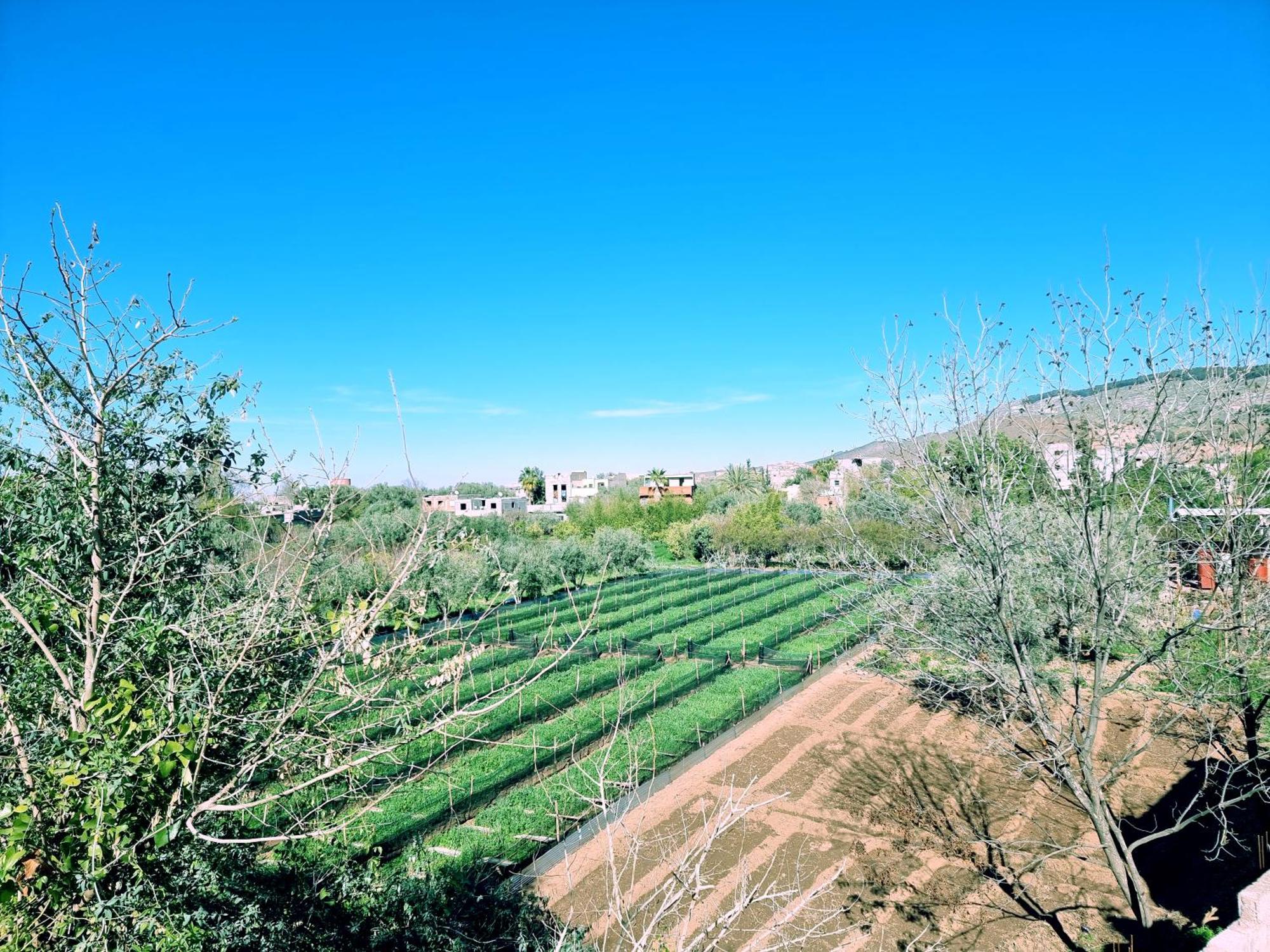 Villa Des Etoiles Ourika Dış mekan fotoğraf